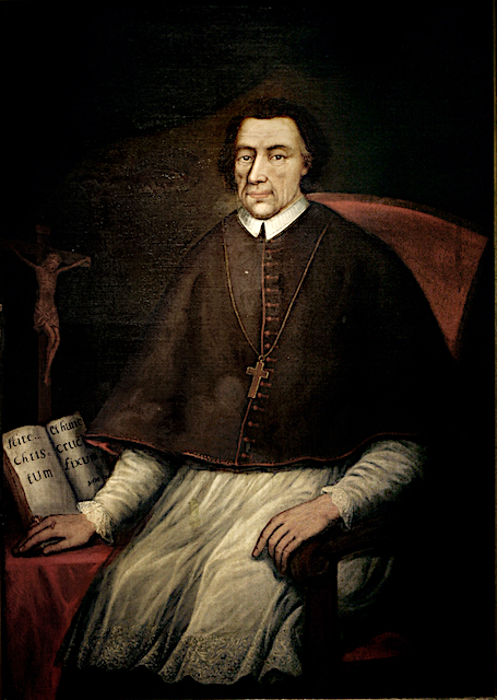 Johannes de Robiano
