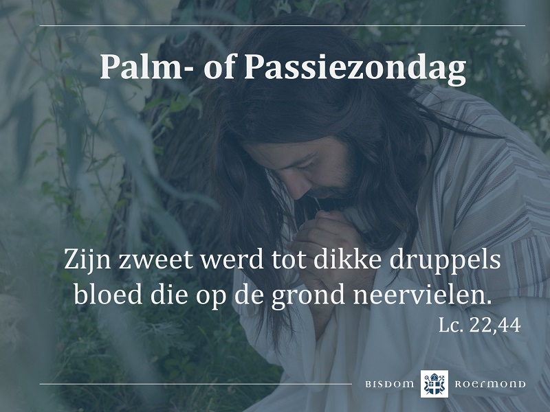 Zondag 10 april 2022 – Palm- of Passiezondag 