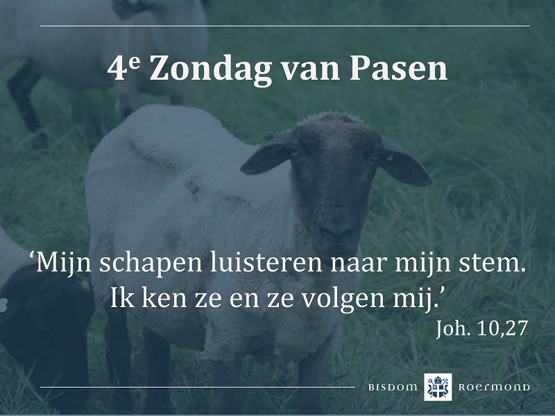 Zondag 8 mei 2022 – 4e Zondag van Pasen | Roepingenzondag