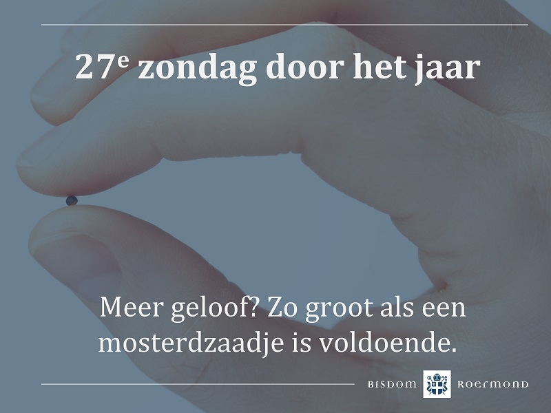 Zondag 2 oktober 2022 – 27e Zondag door het jaar 