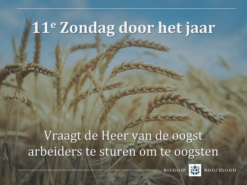 Zondag 18 juni 2023 – 11e Zondag door het jaar