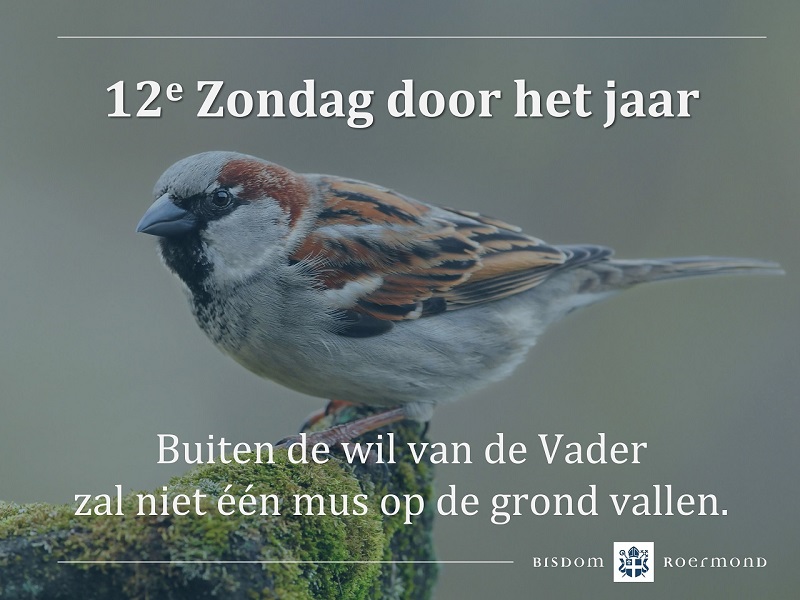 Zondag 25 juni 2023 – 12e Zondag door het jaar
