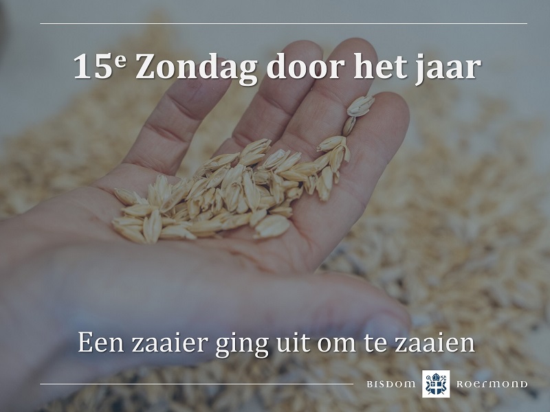 Zondag 16 juli 2023 – 15e Zondag door het jaar