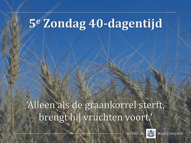Zondag 17 maart 2024 – 5e zondag van de 40-dagentijd