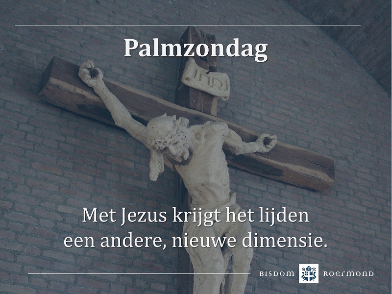 Zondag 24 maart 2024 – Palm of Passiezondag | Begin van de Goede Week