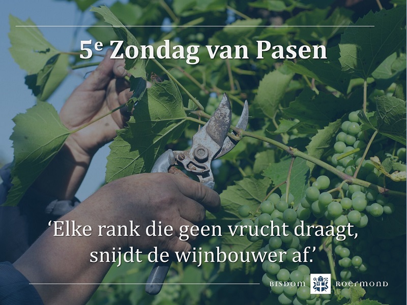 Zondag 28 april 2024 – 5e Zondag van Pasen