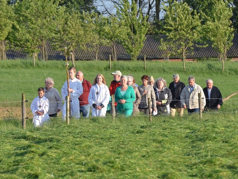 Wat vieren we van 5 t/m 11 mei 2024?