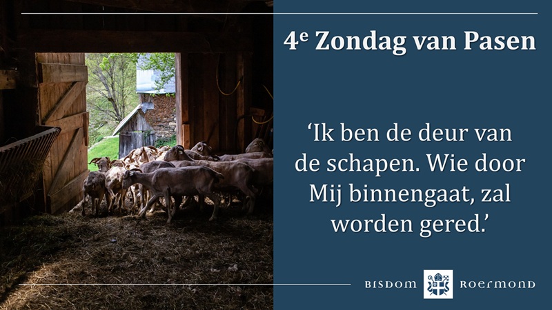 Zondag 26 april 2026 – 4e Zondag van Pasen | Roepingenzondag