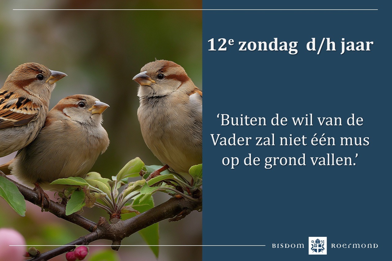 Zondag 12 juni 2026 - 12e Zondag door het jaar 