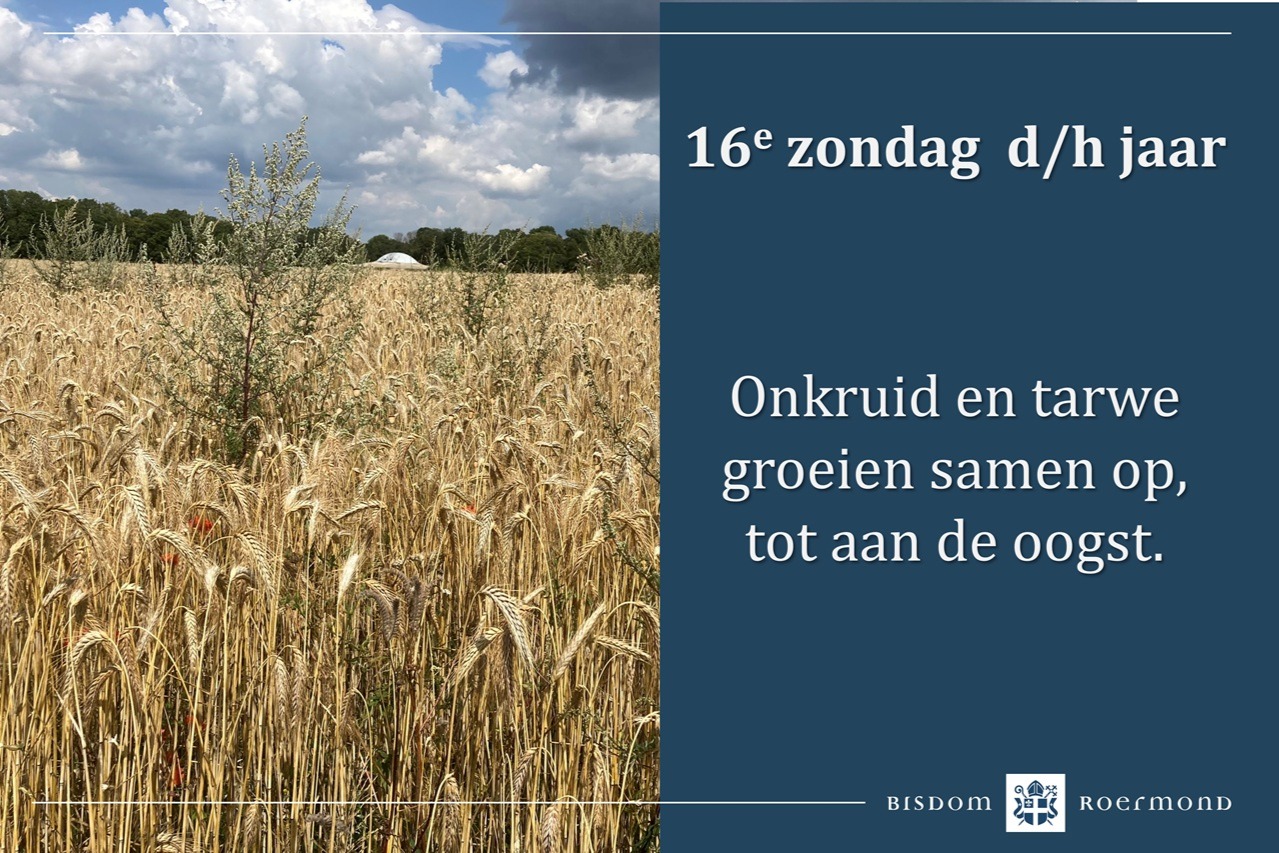 Zondag 19 juli 2026 – 16e zondag door het jaar